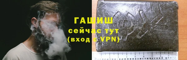 хмурый Алзамай