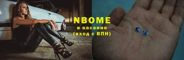 хмурый Алзамай