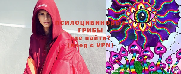 хмурый Алзамай