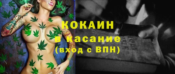 хмурый Алзамай