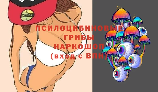 хмурый Алзамай