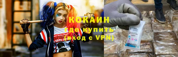 хмурый Алзамай