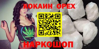 тгк Обь