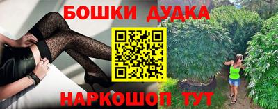 тгк Обь