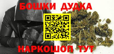 тгк Обь