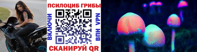 купить   Новошахтинск  Псилоцибиновые грибы Magic Shrooms 