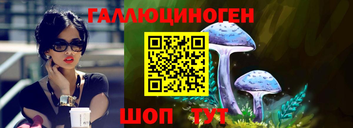 Псилоцибиновые грибы MAGIC MUSHROOMS Новошахтинск